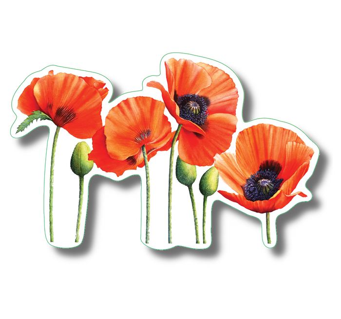 Earth Sky + Water - Poppies Nature Sticker, 3.5" wide