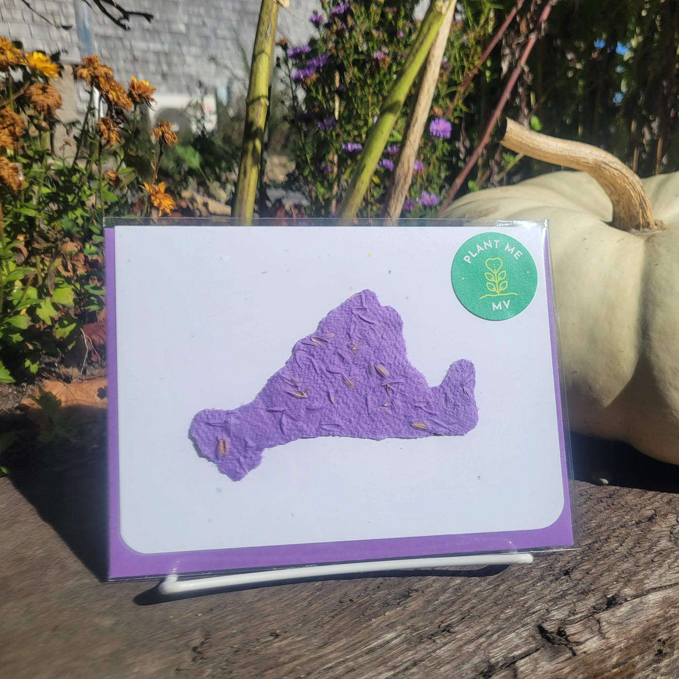 wildflower seeds cards MV Wildflower Seed Paper Cards – Martha's Vineyard Made