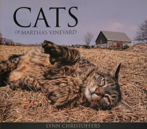 The front of cover of "Cats of Martha's Vineyard" is a brown and black cat showing their belly in a pile of hay.