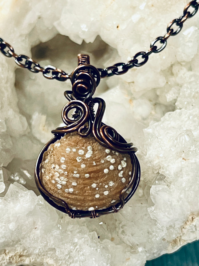 Copper Wrapped Fossilized Shell Pendent