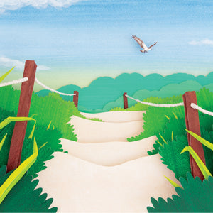 A sandy path in the middle of a grassy landscape with a sea gill flying above.