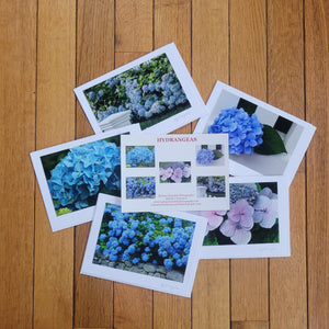 Vineyard Photography Cards